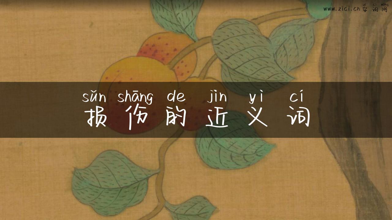 损伤的近义词
