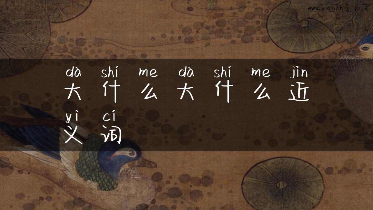 大什么大什么近义词