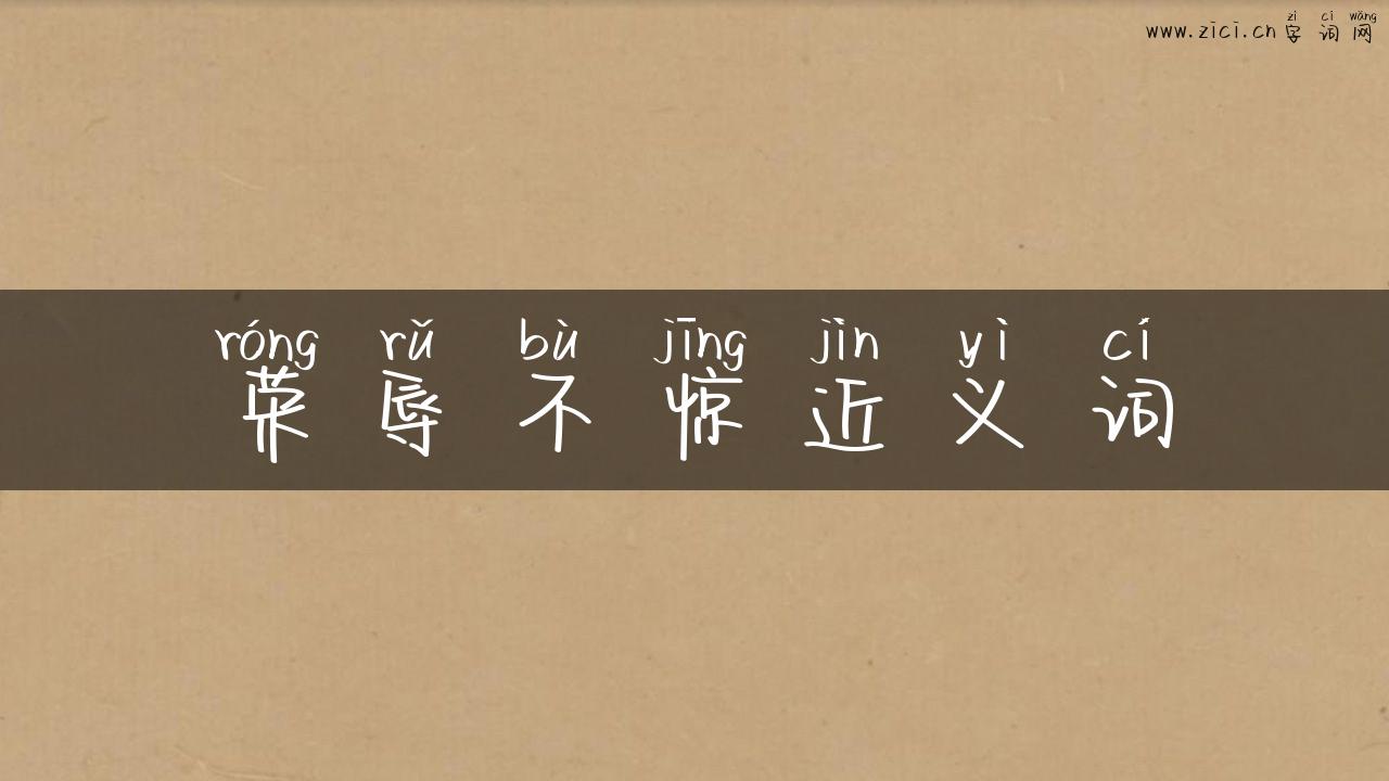 荣辱不惊近义词