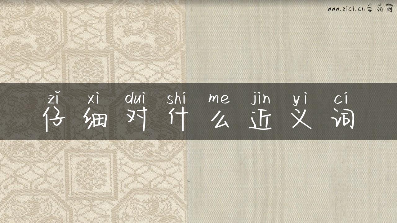 仔细对什么近义词