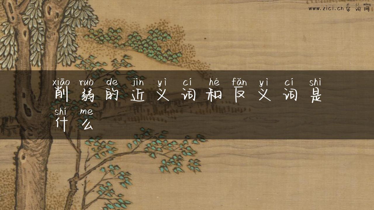 削弱的近义词和反义词是什么
