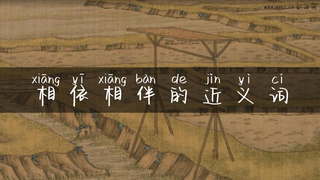 相依相伴的近义词