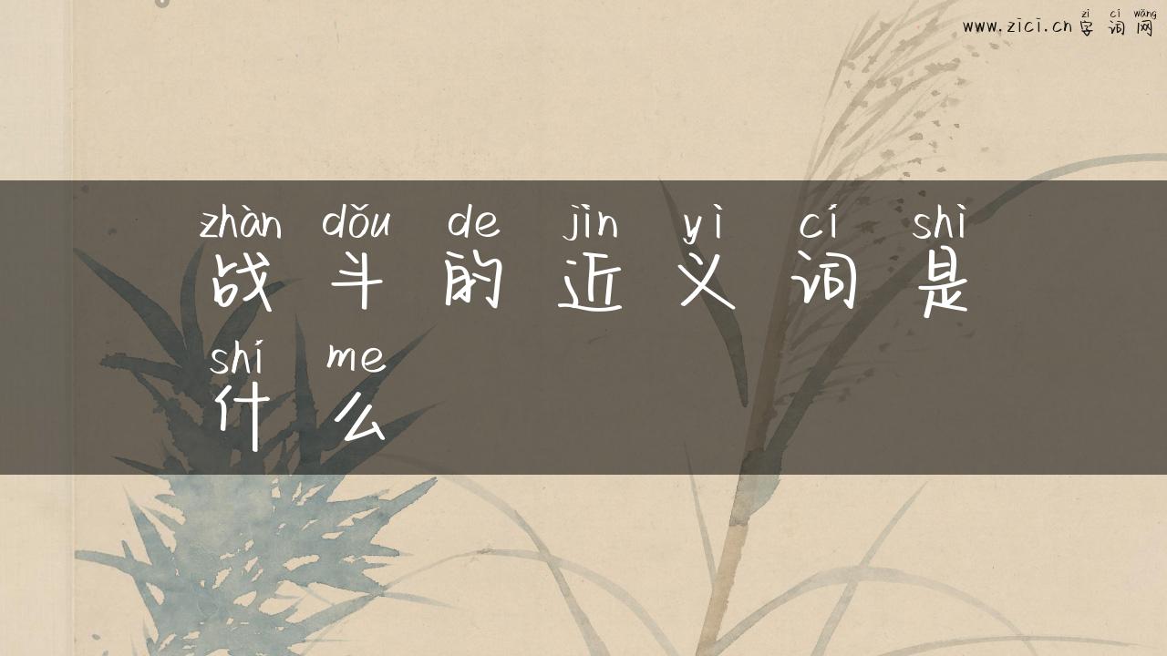 战斗的近义词是什么