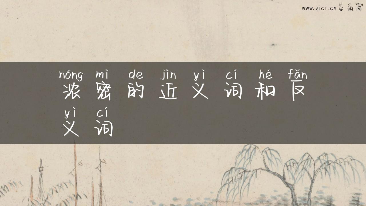 浓密的近义词和反义词
