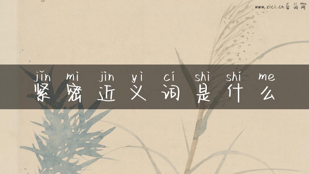 紧密近义词是什么