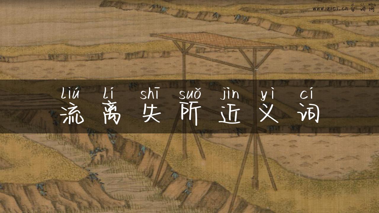 流离失所近义词