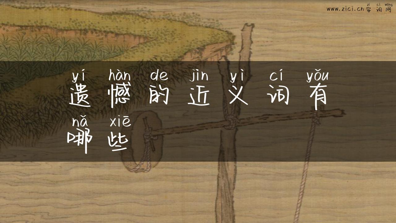 遗憾的近义词有哪些