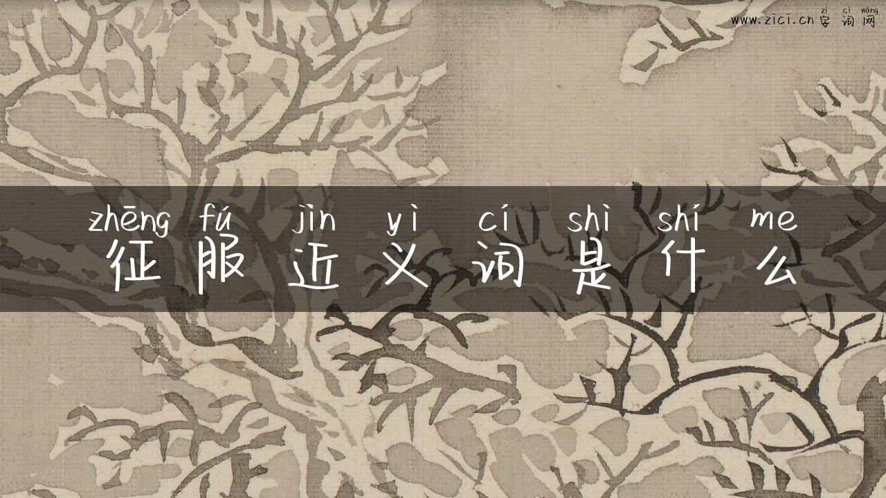 征服近义词是什么