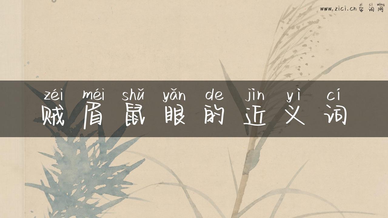 贼眉鼠眼的近义词