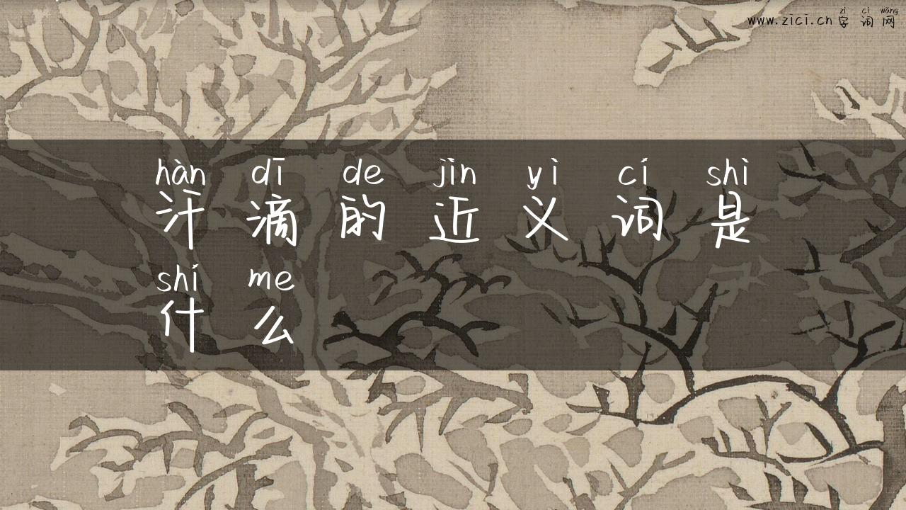 汗滴的近义词是什么