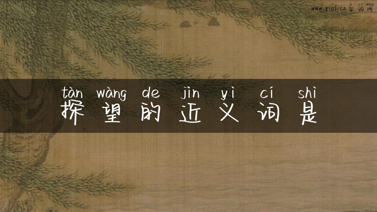 探望的近义词是