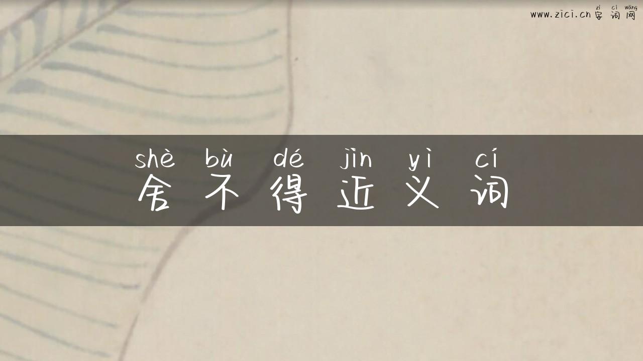 舍不得近义词