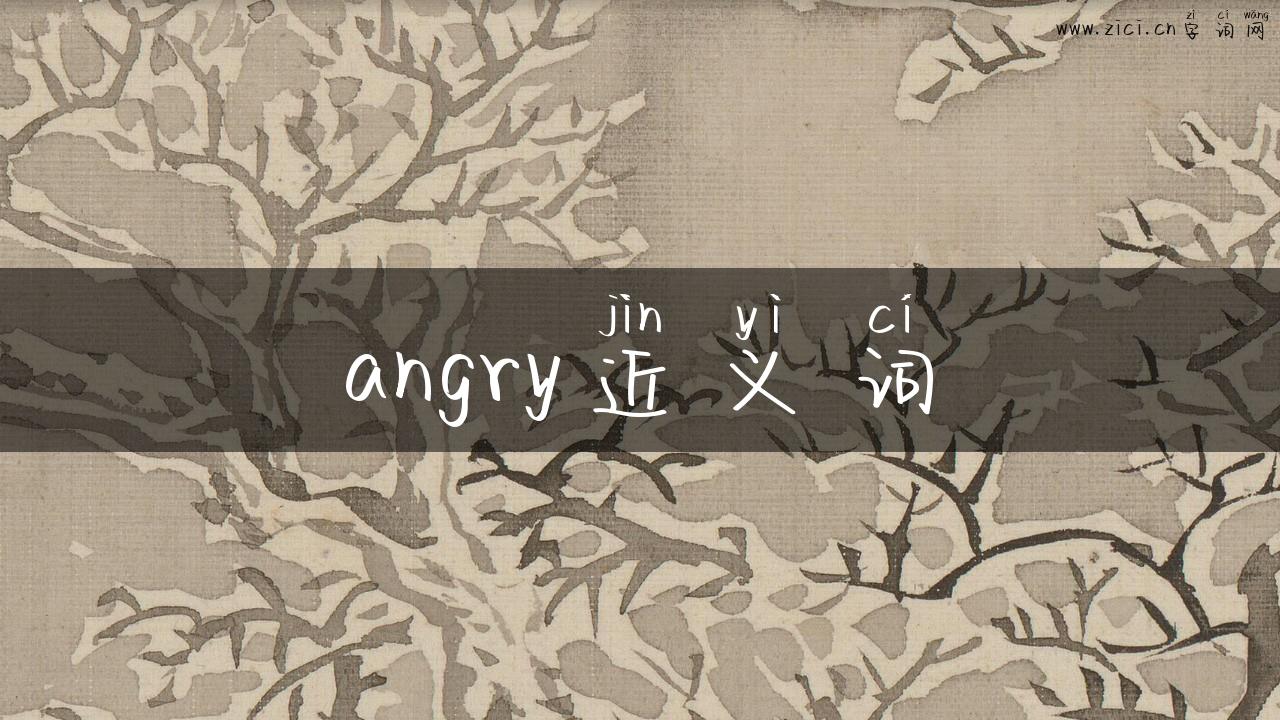 angry近义词