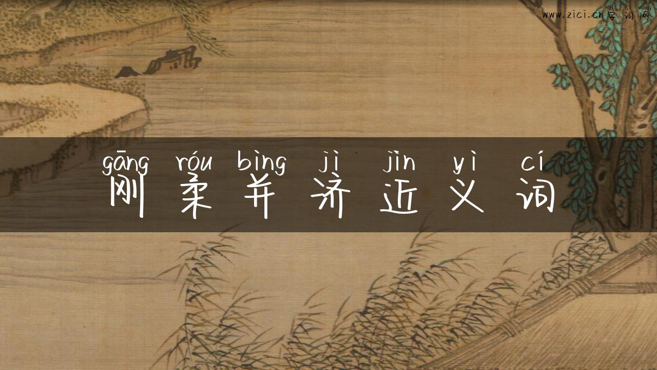 刚柔并济近义词
