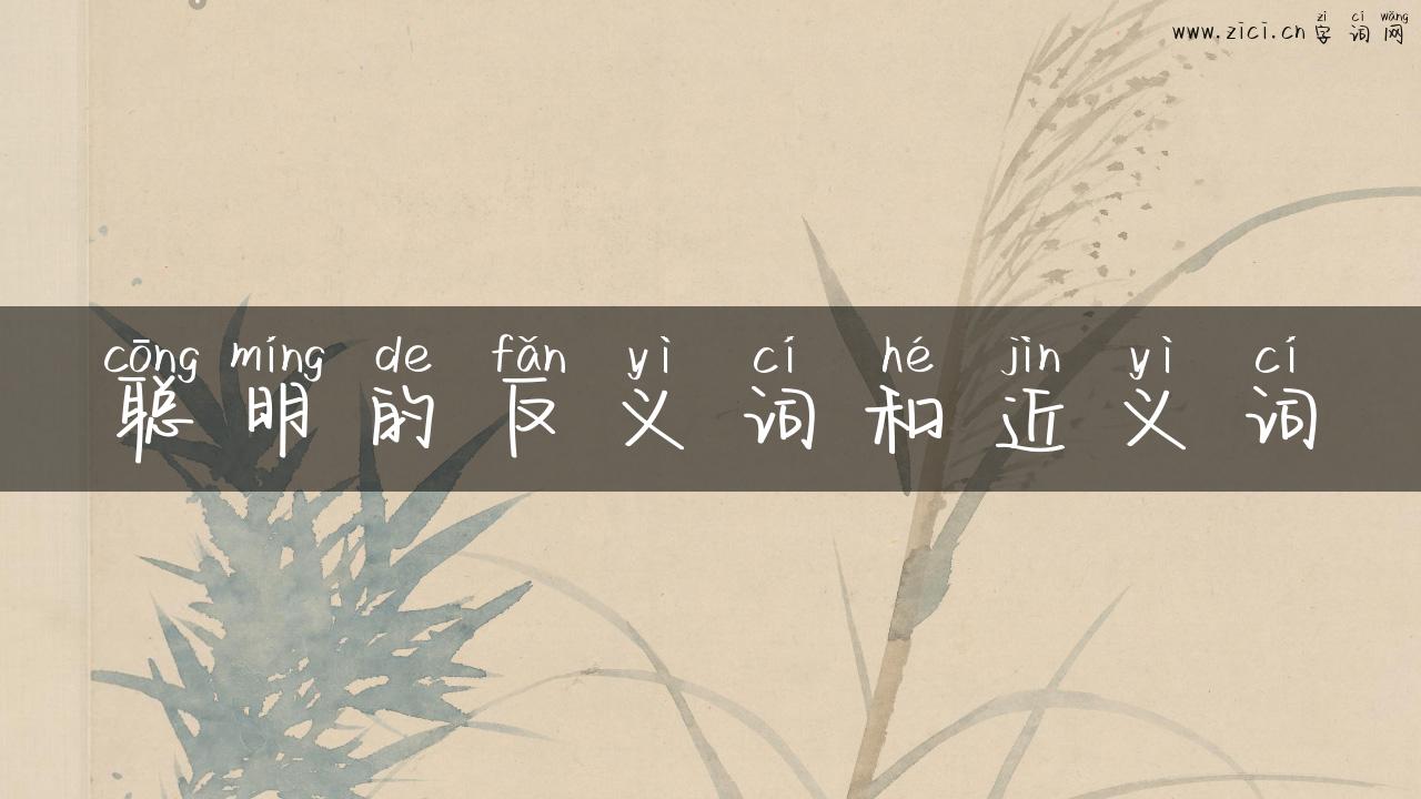聪明的反义词和近义词