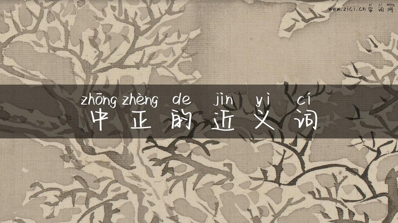 中正的近义词