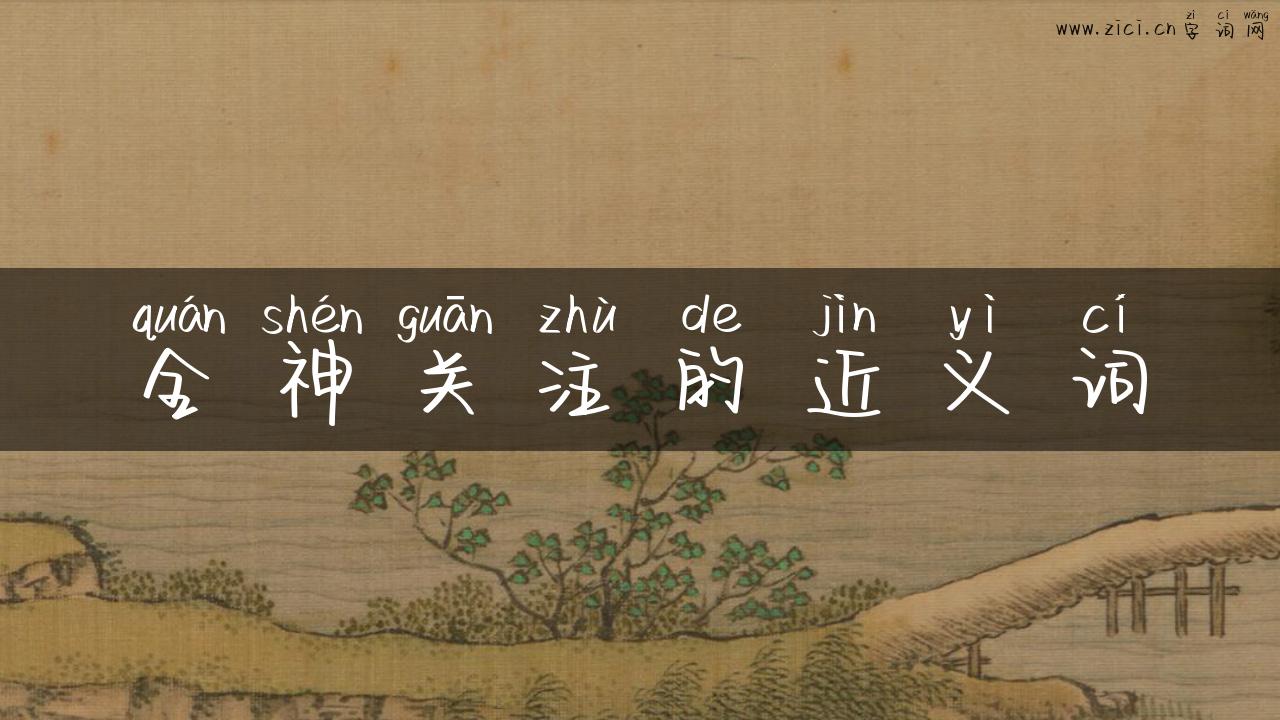 全神关注的近义词