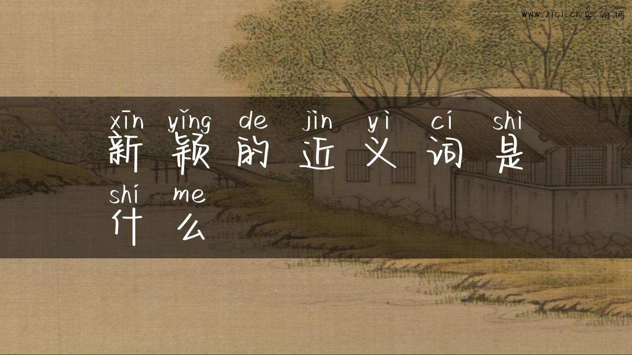 新颖的近义词是什么