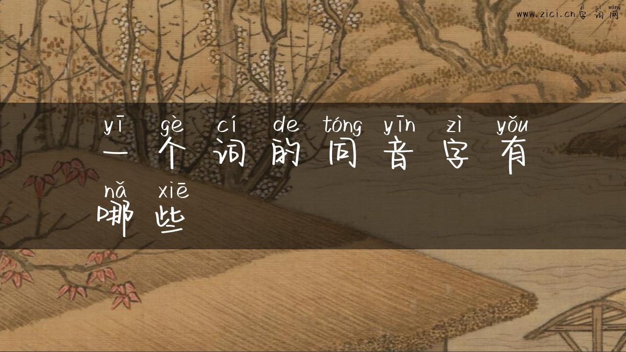 一个词的同音字有哪些