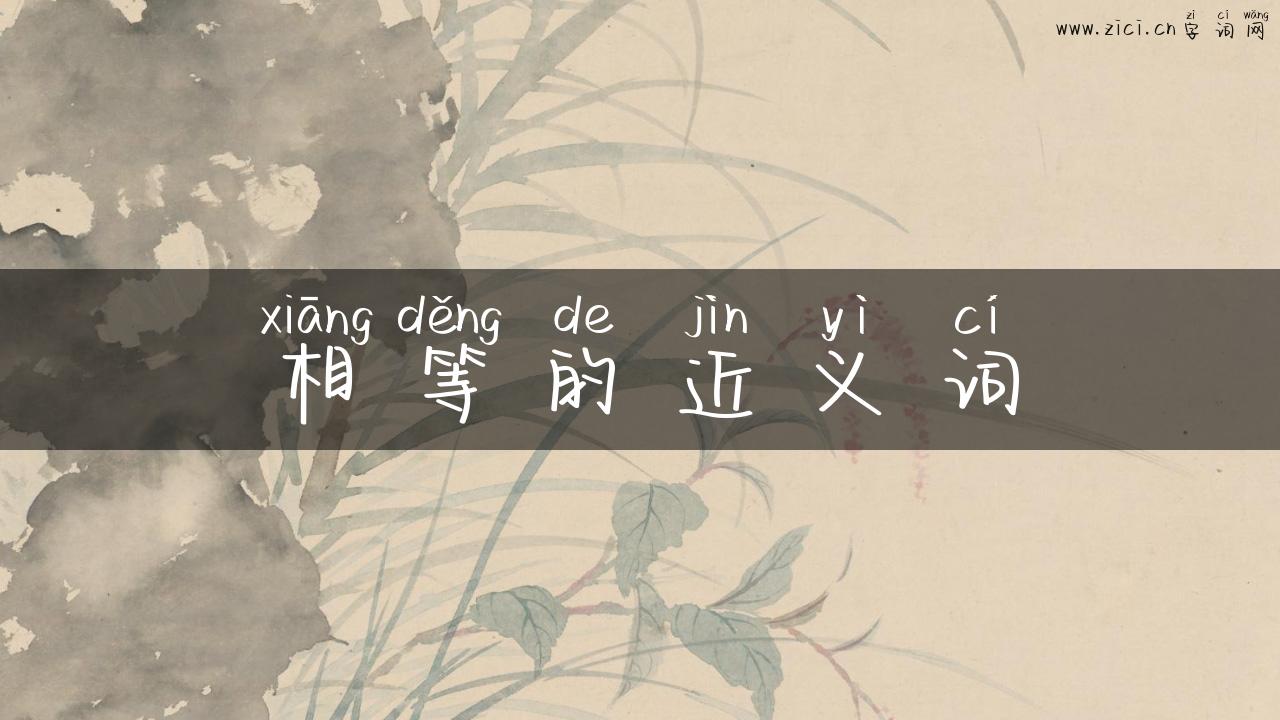 相等的近义词