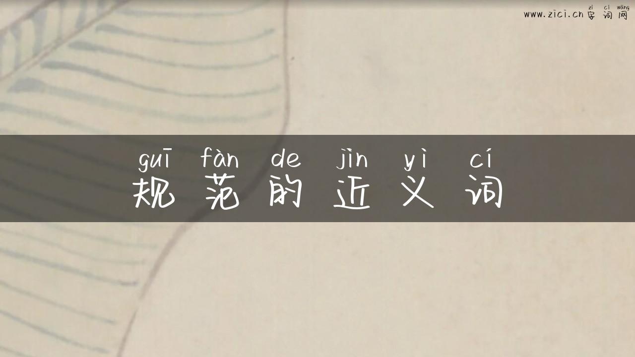 规范的近义词