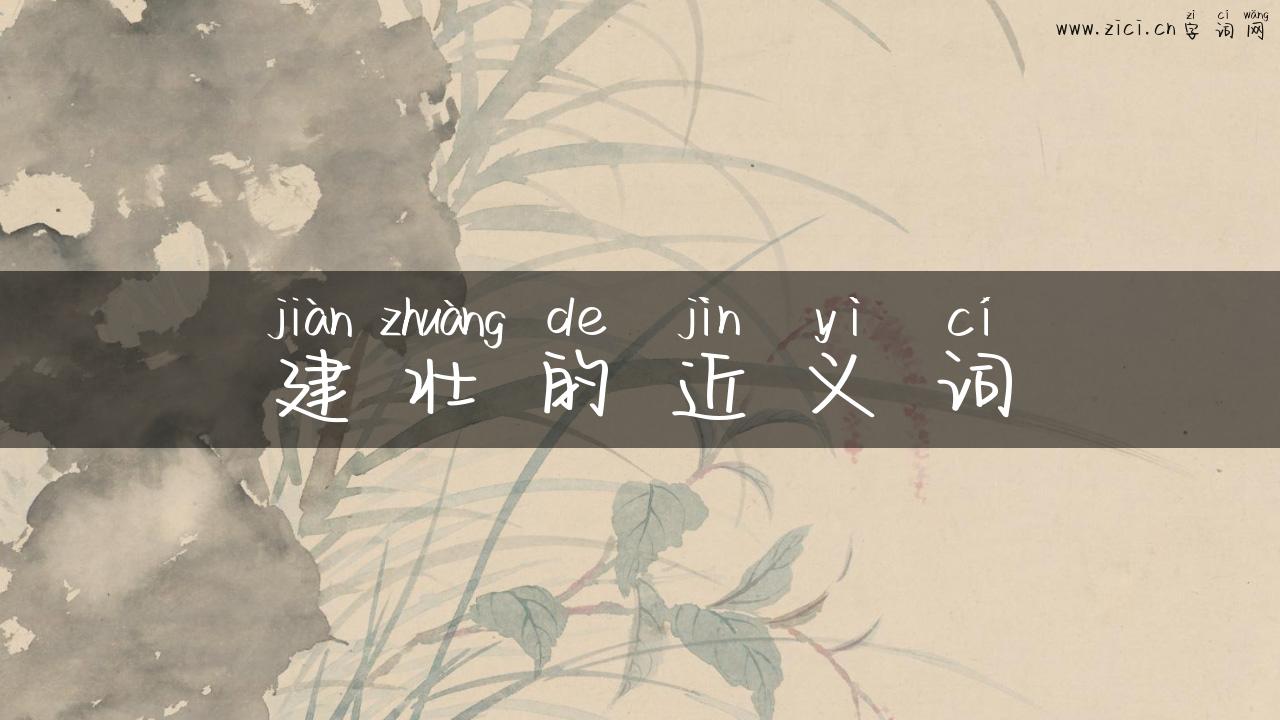 建壮的近义词