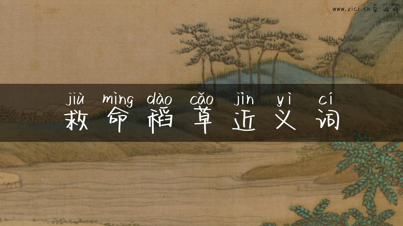救命稻草近义词