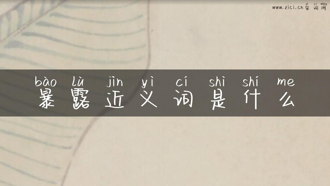 暴露近义词是什么