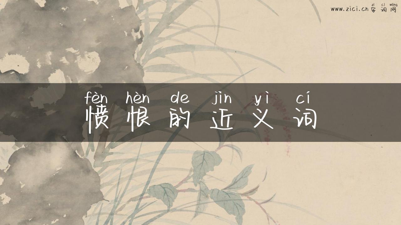 愤恨的近义词