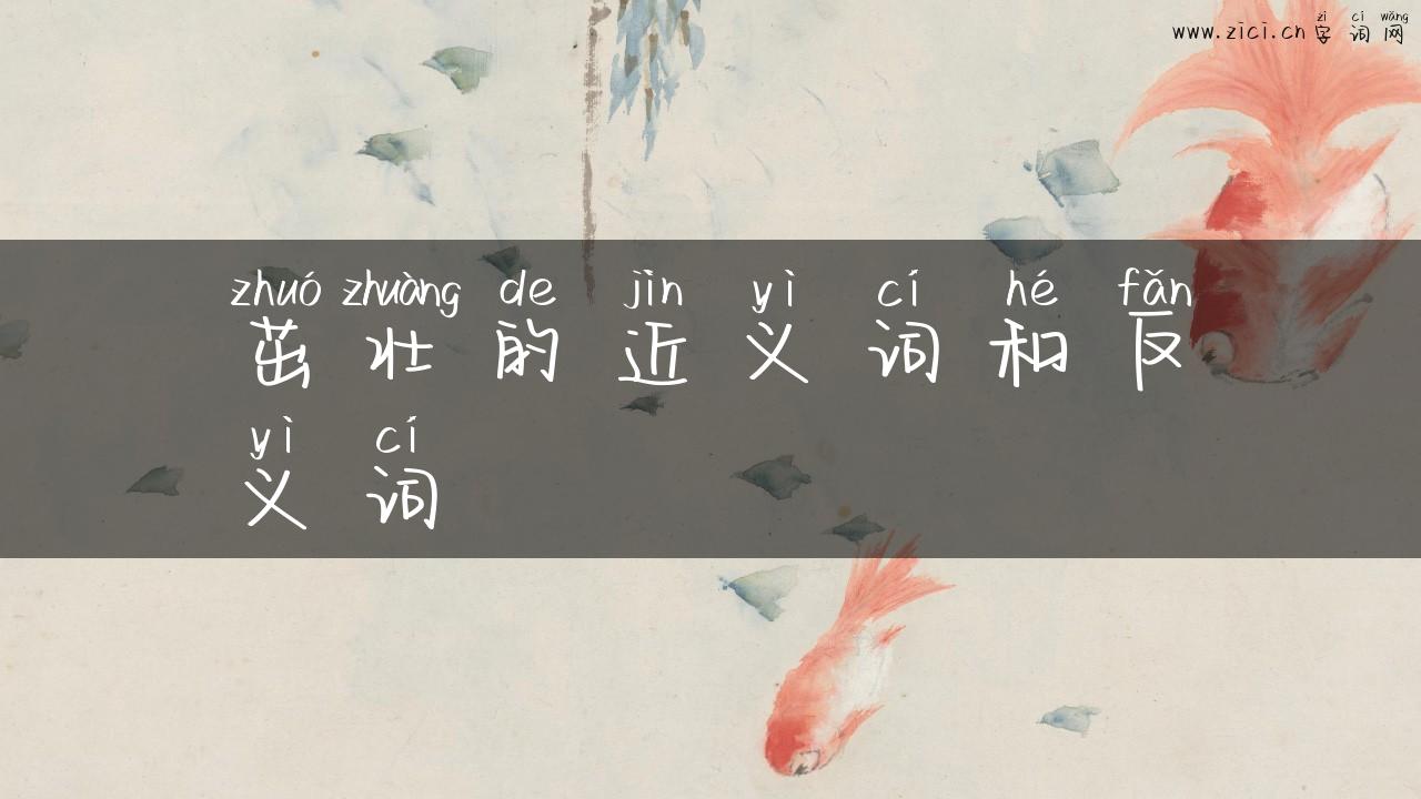 茁壮的近义词和反义词