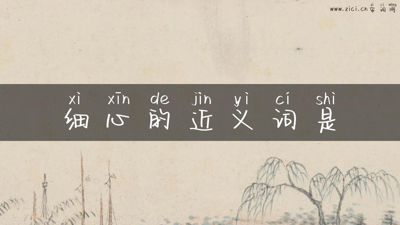 细心的近义词是