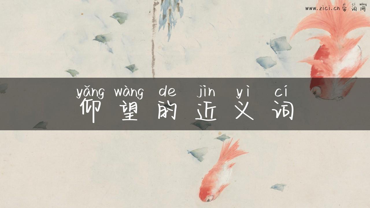 仰望的近义词