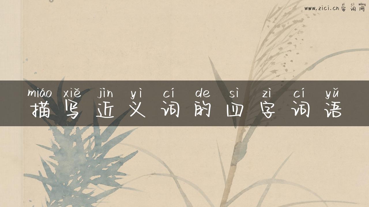 描写近义词的四字词语