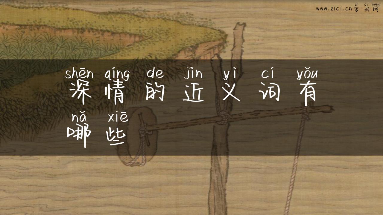 深情的近义词有哪些