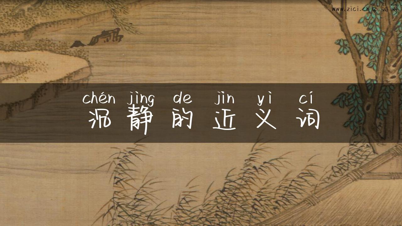 沉静的近义词