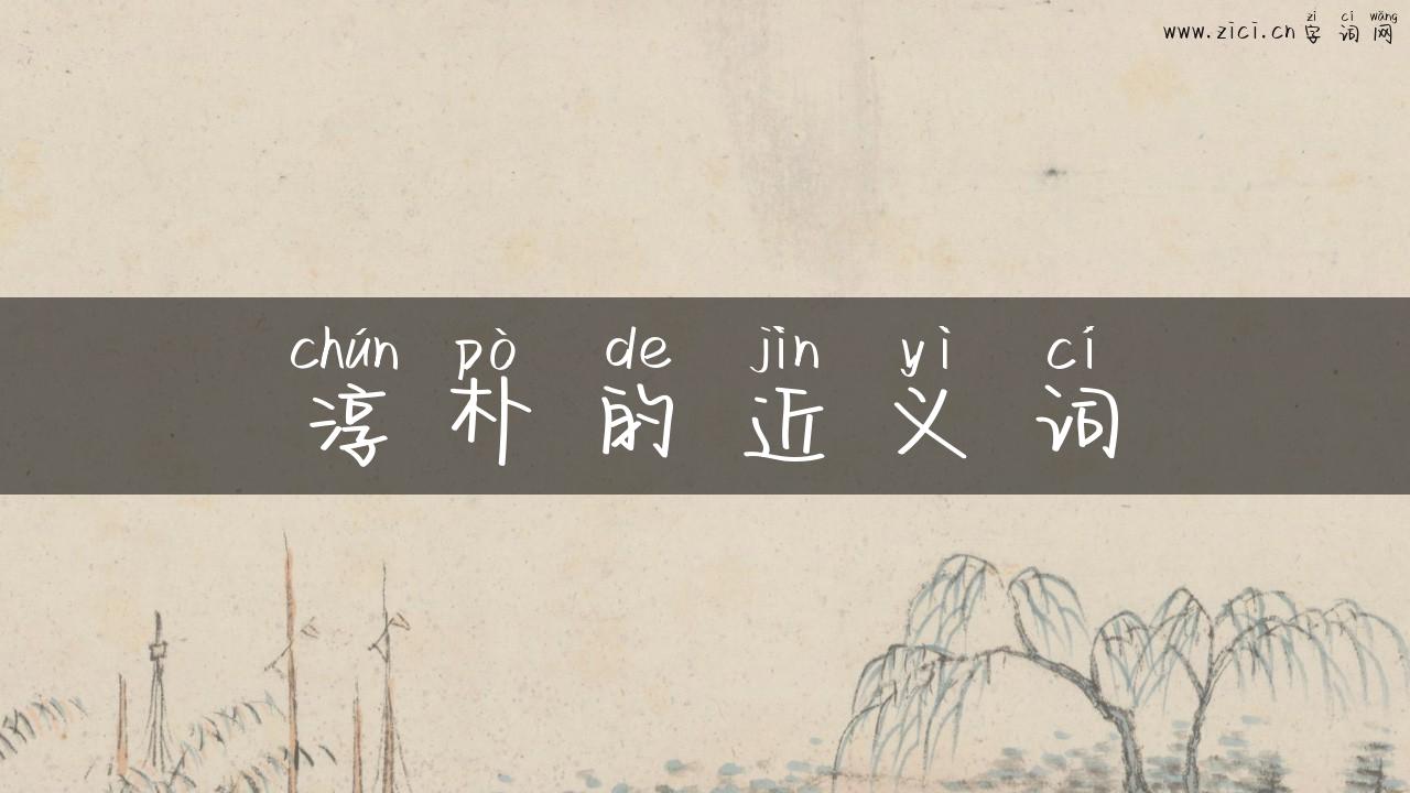 淳朴的近义词