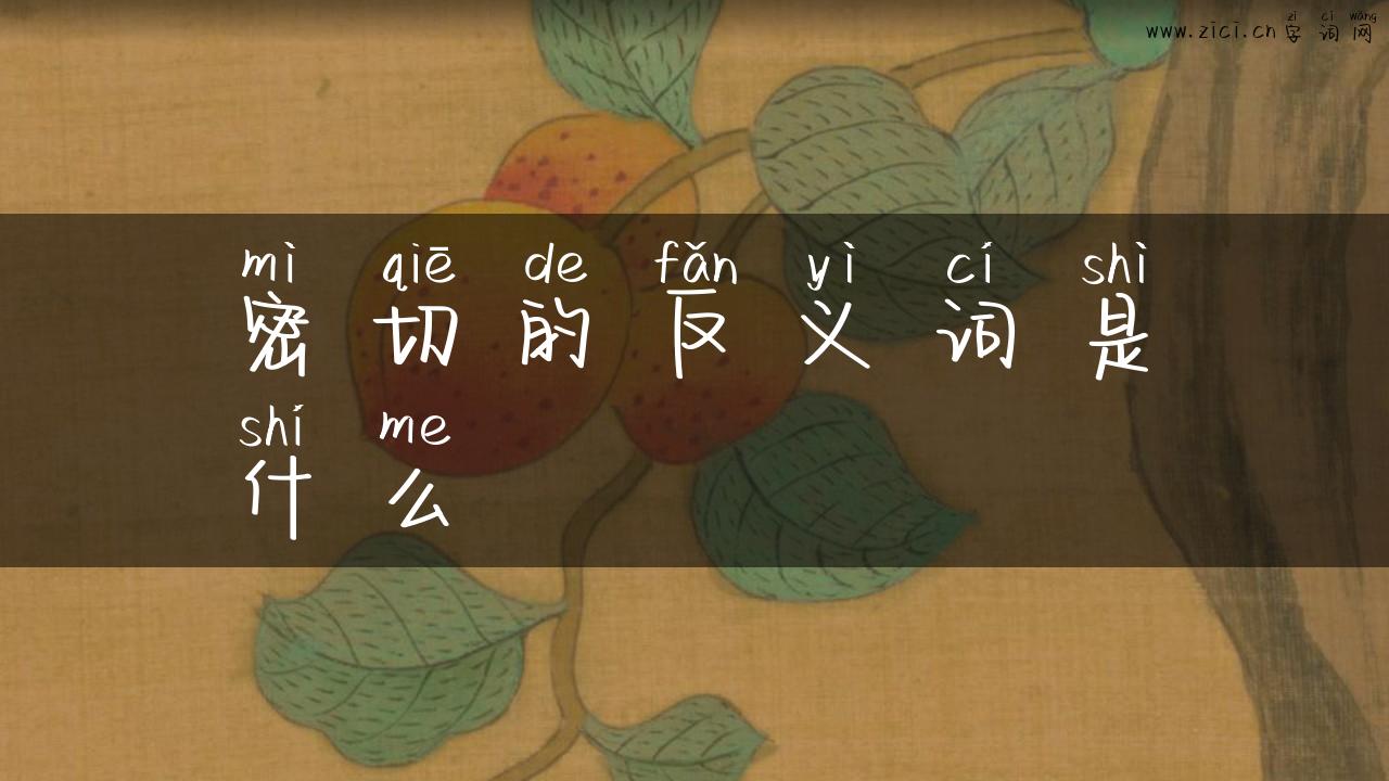密切的反义词是什么