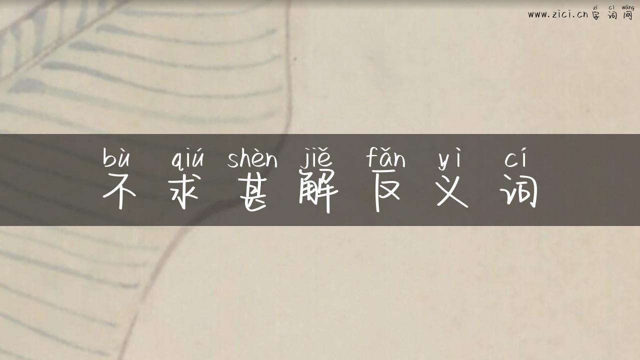 不求甚解反义词