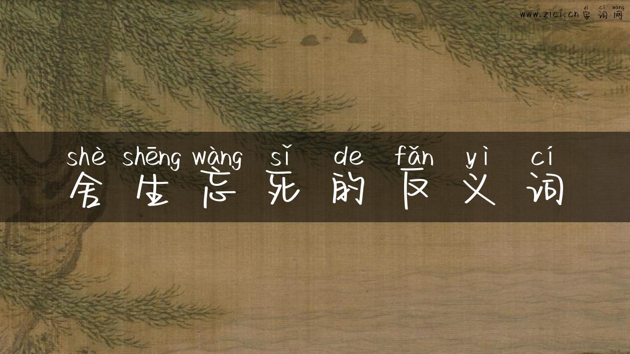 舍生忘死的反义词