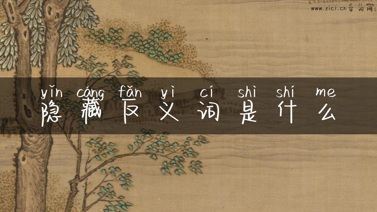 隐藏反义词是什么