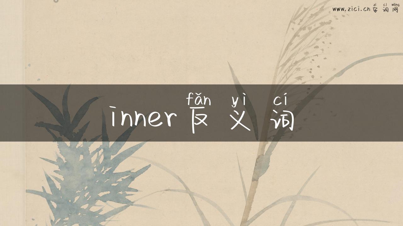 inner反义词