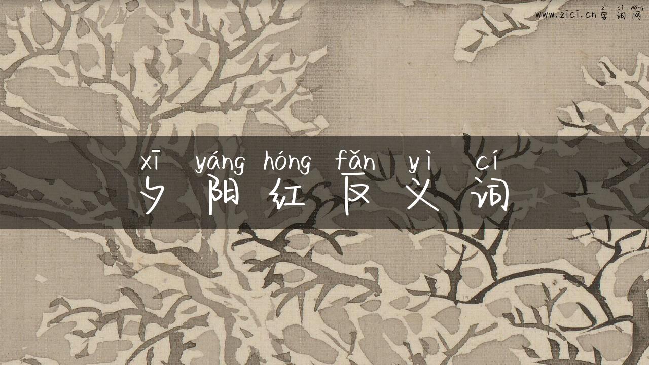 夕阳红反义词