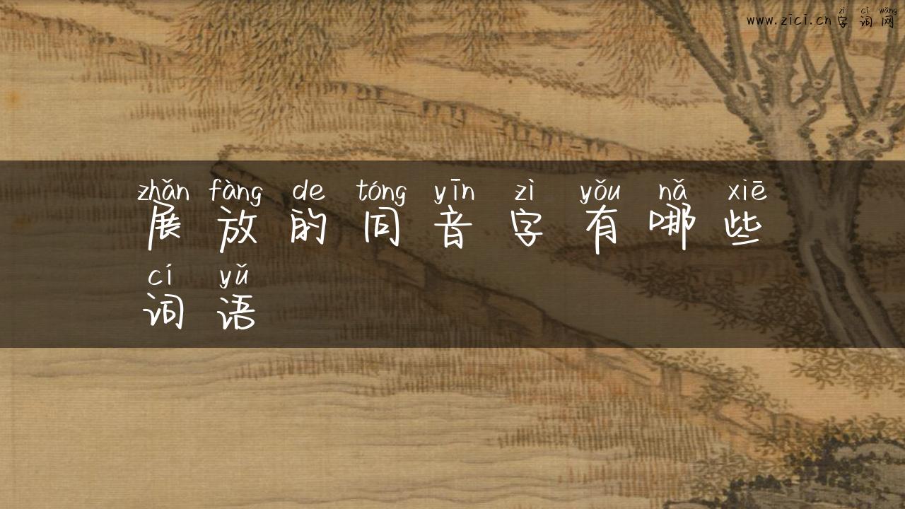展放的同音字有哪些词语