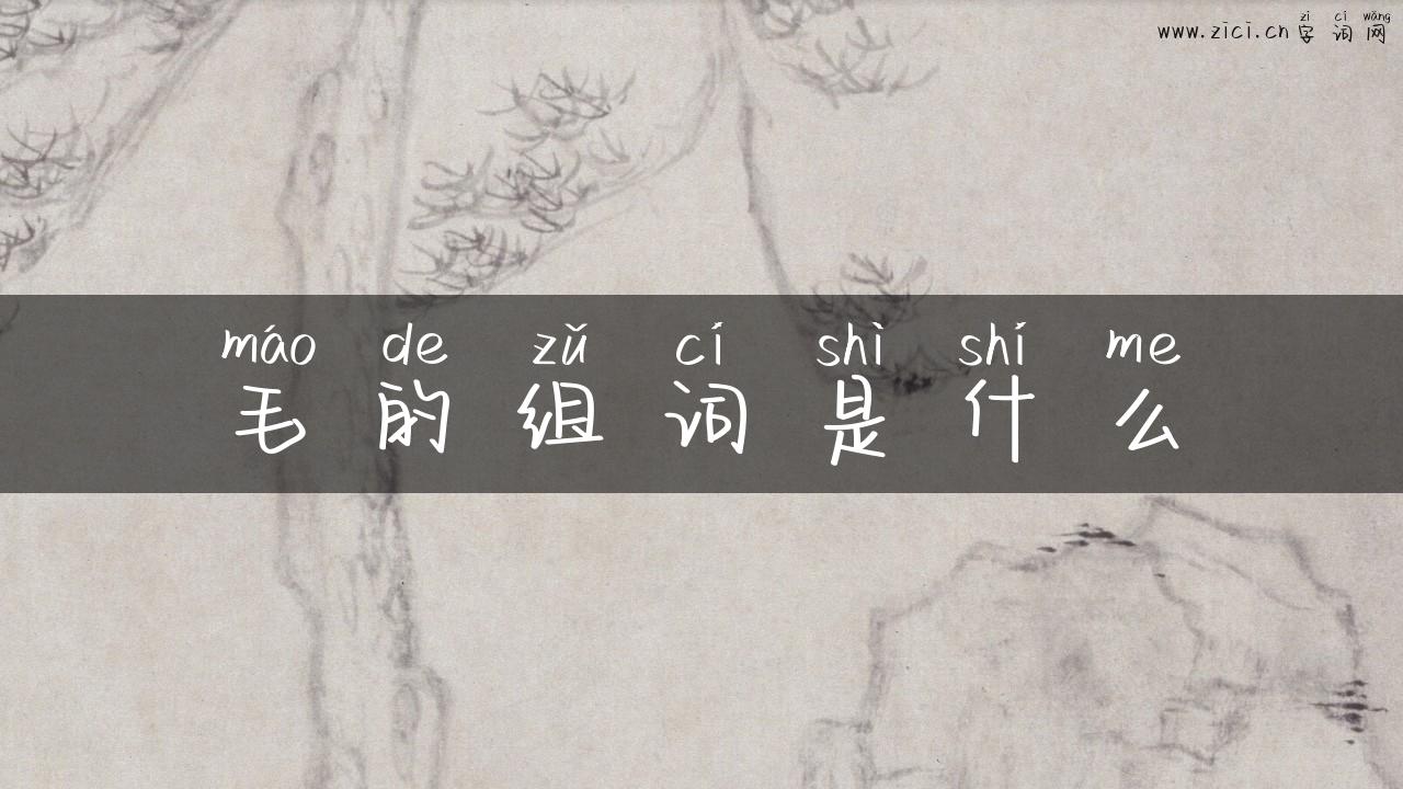 毛的组词是什么