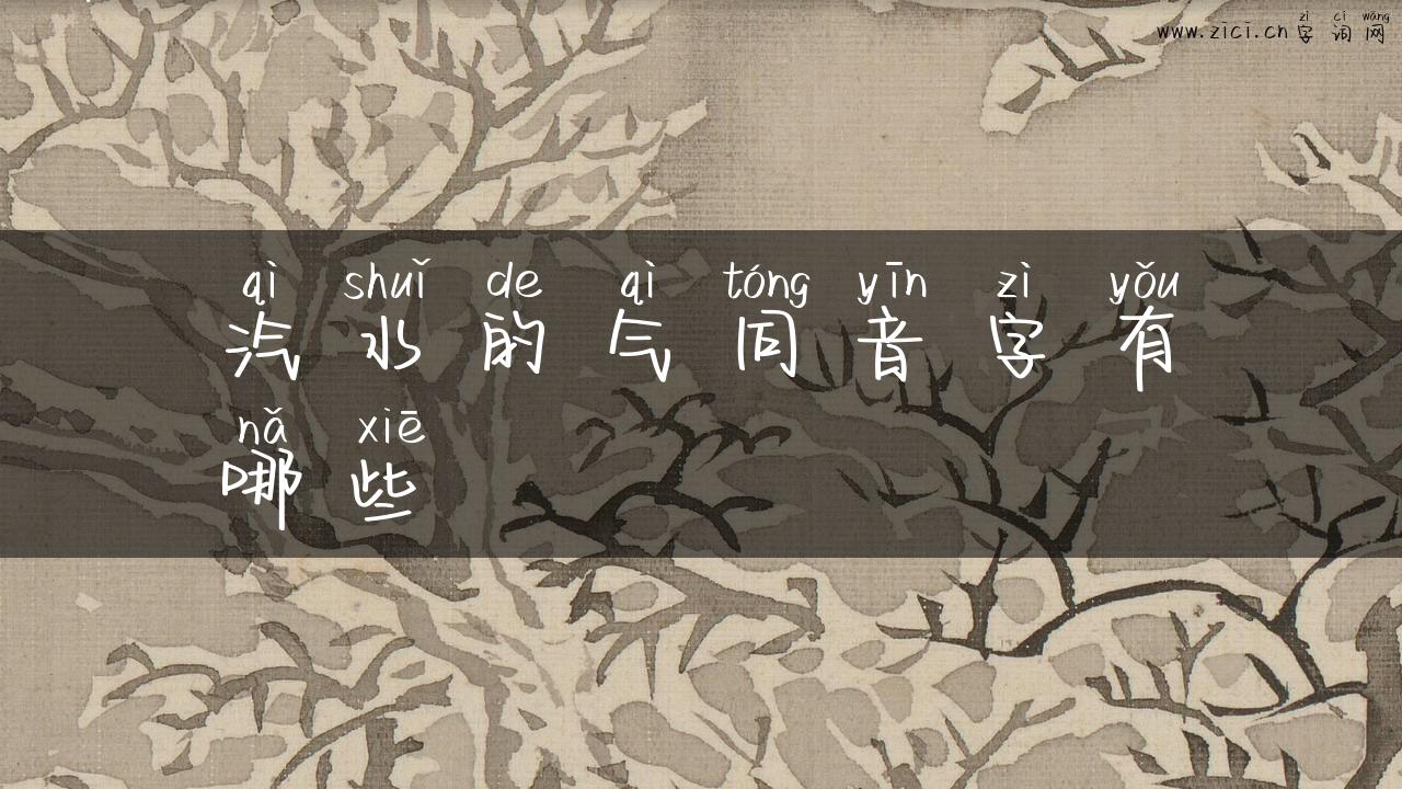 汽水的气同音字有哪些