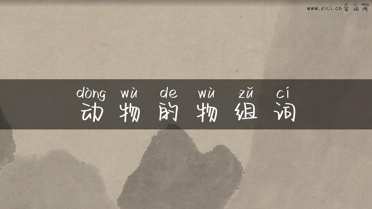 动物的物组词