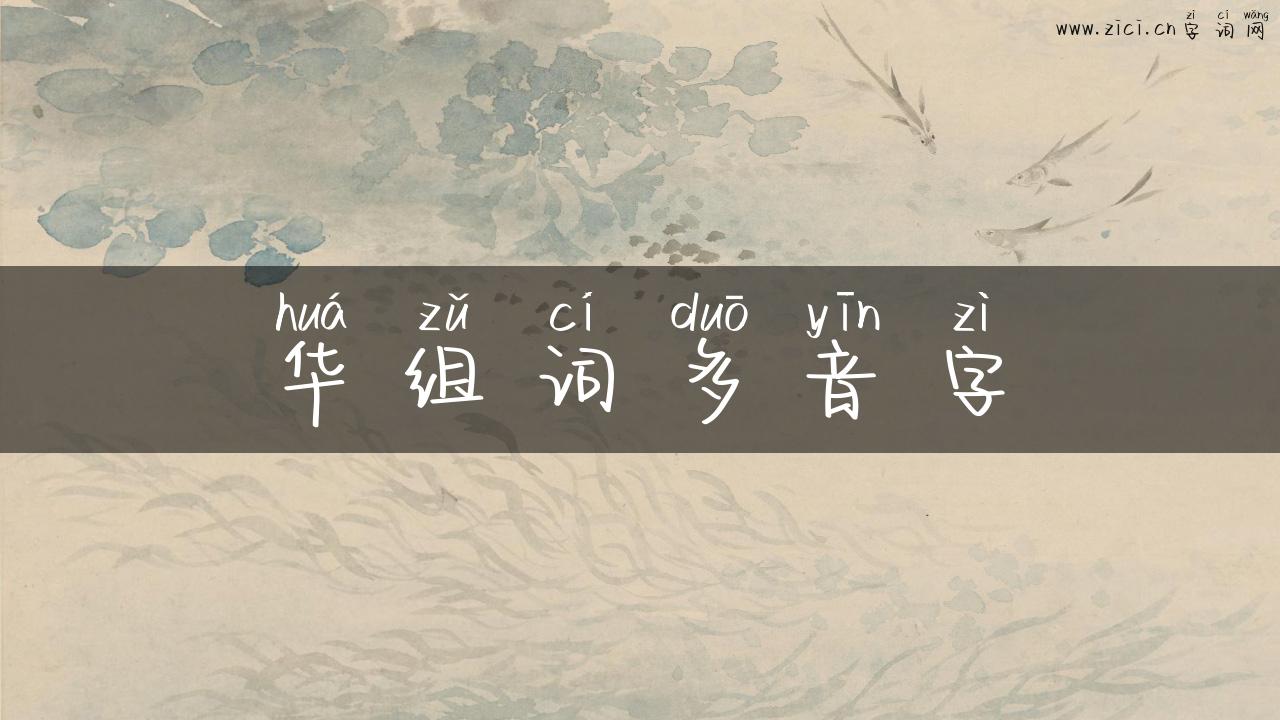 华组词多音字
