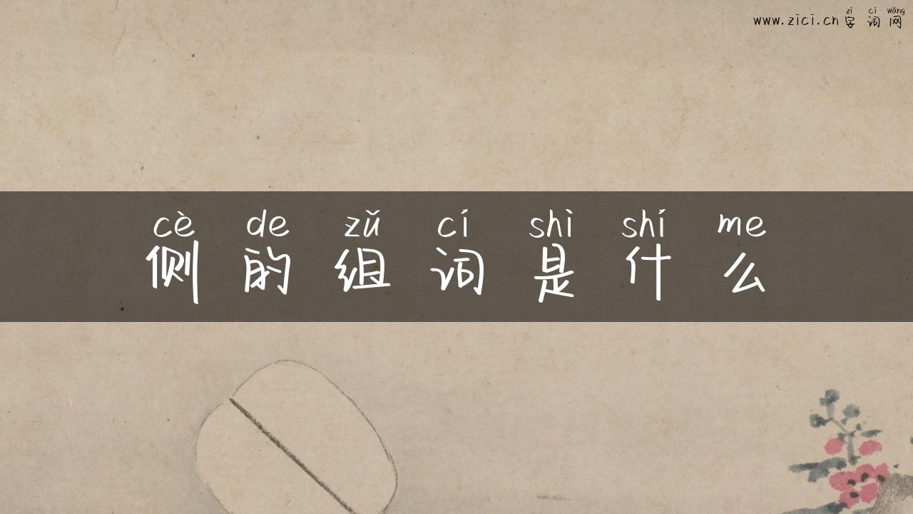 侧的组词是什么