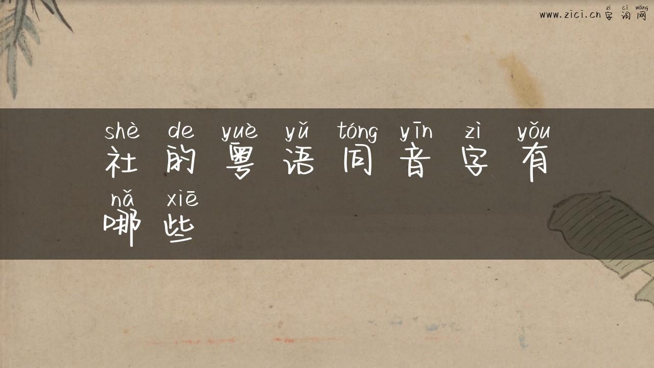 社的粤语同音字有哪些