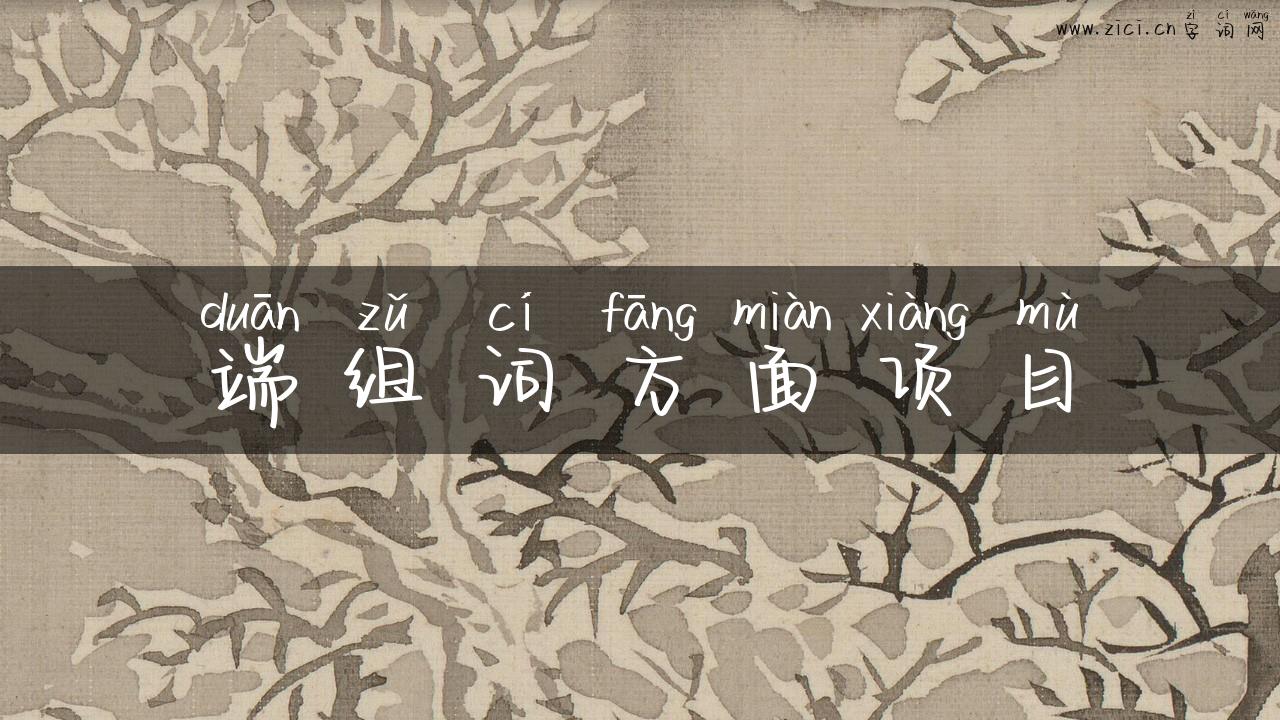 端组词方面项目